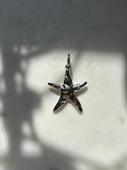 Steal a Starfish Charm