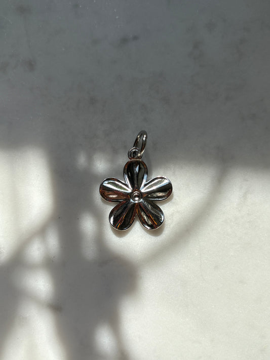 Harden Daisy Charm