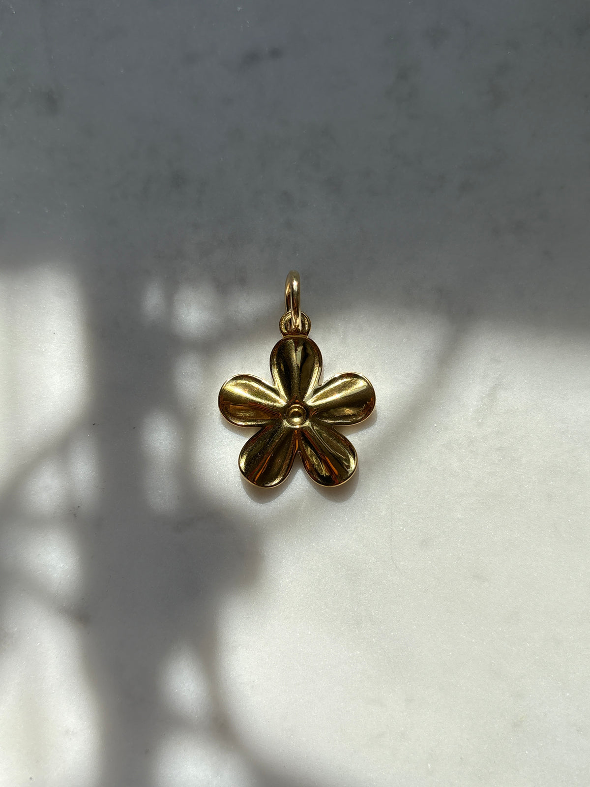 Harden Daisy Charm