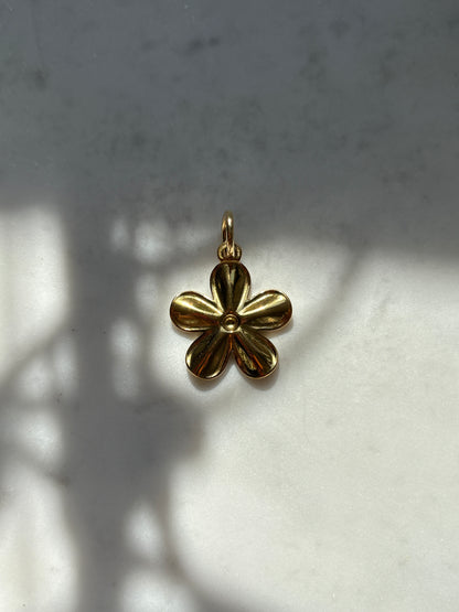 Harden Daisy Charm