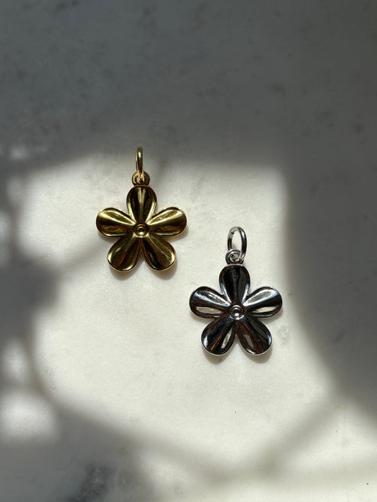 Harden Daisy Charm