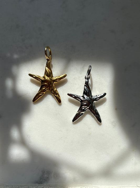 Steal a Starfish Charm