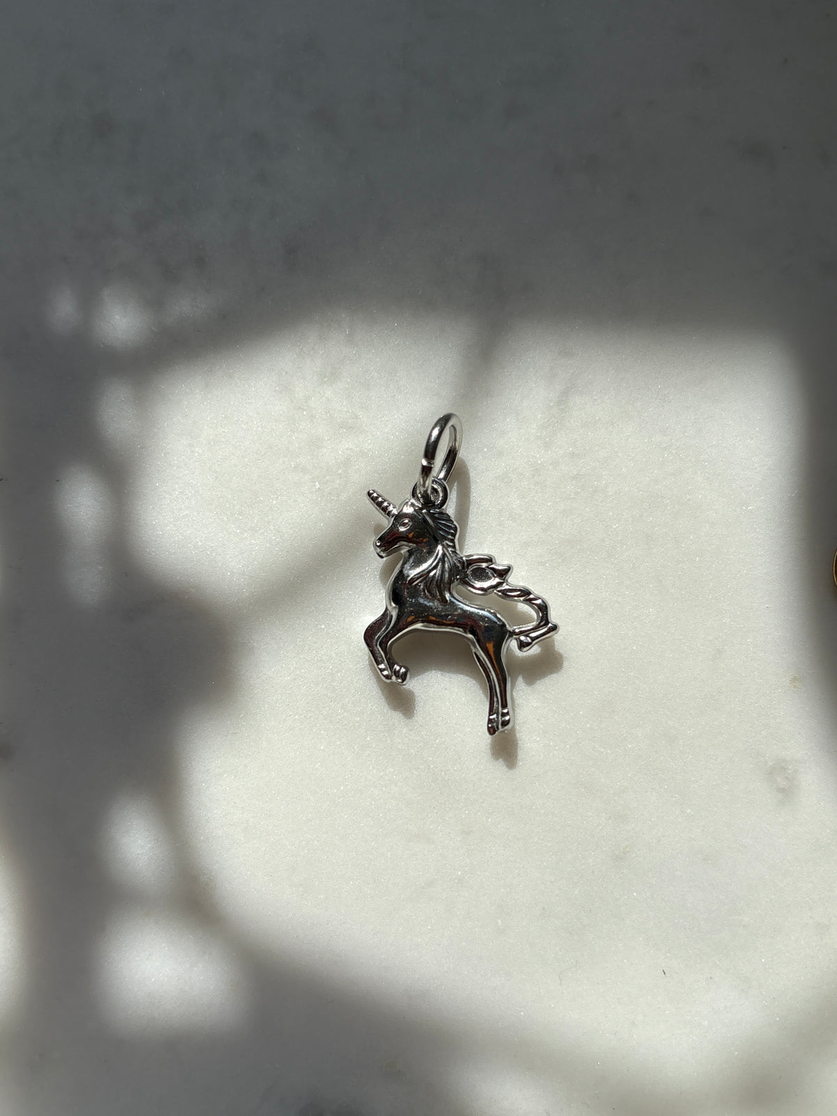 Iron Unicorn Charm
