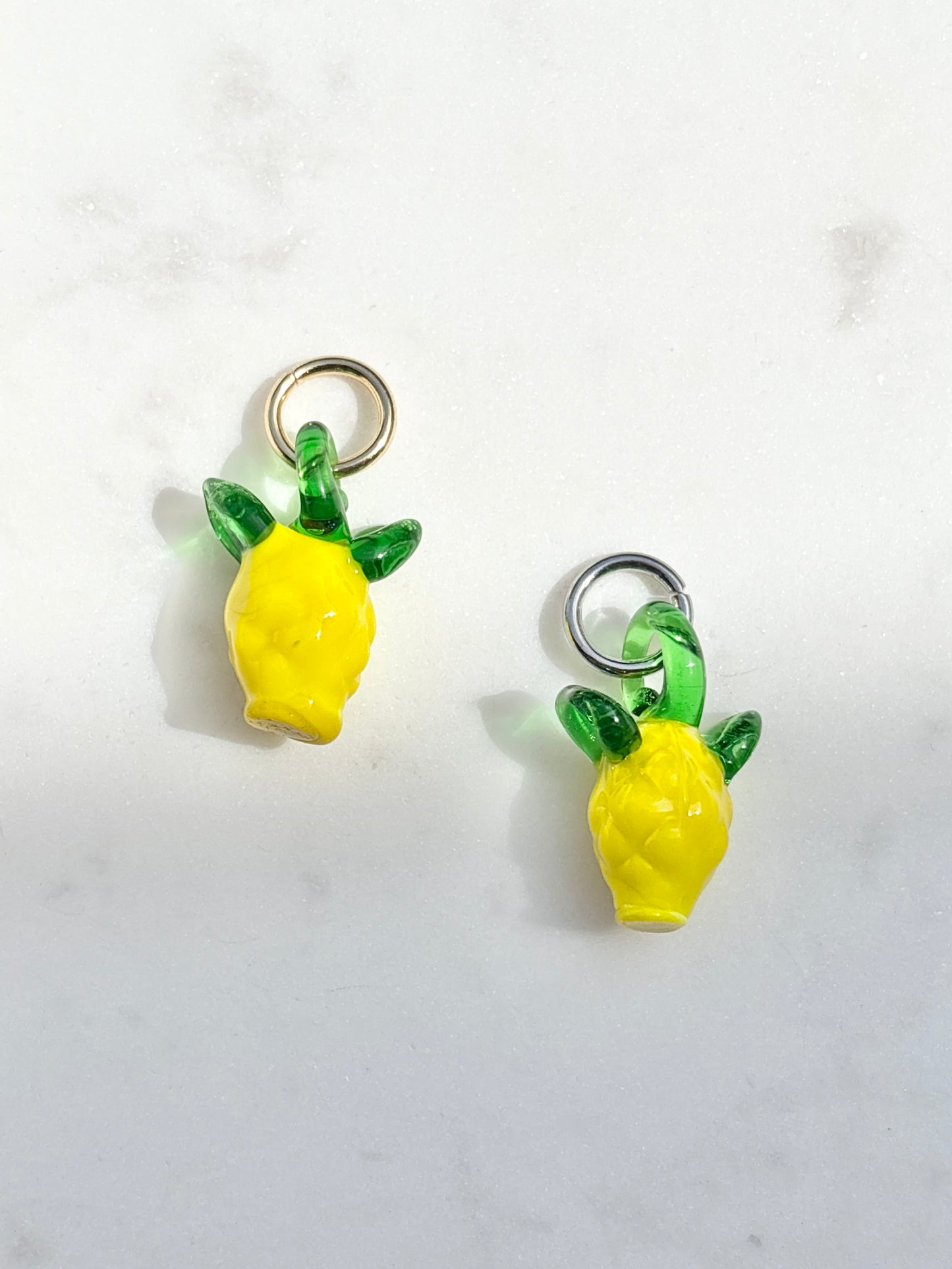 Picnic Parade Charms