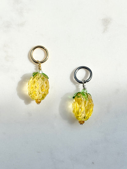 Picnic Parade Charms