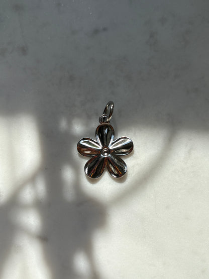 Harden Daisy Charm